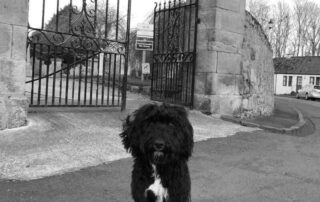 RKA Architects - St Andrews