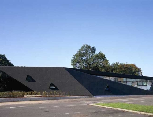 Blog: Maggie Centre
