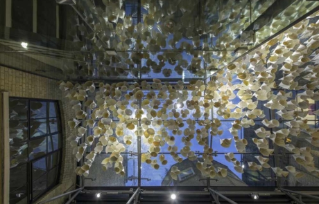 - Medius House - RKA Architectural Design Studio_MG_6802