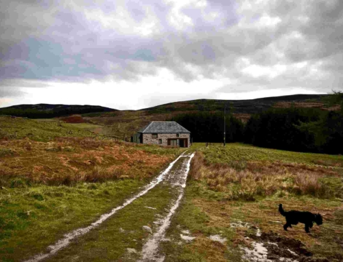Cairngorms Agricultural Building